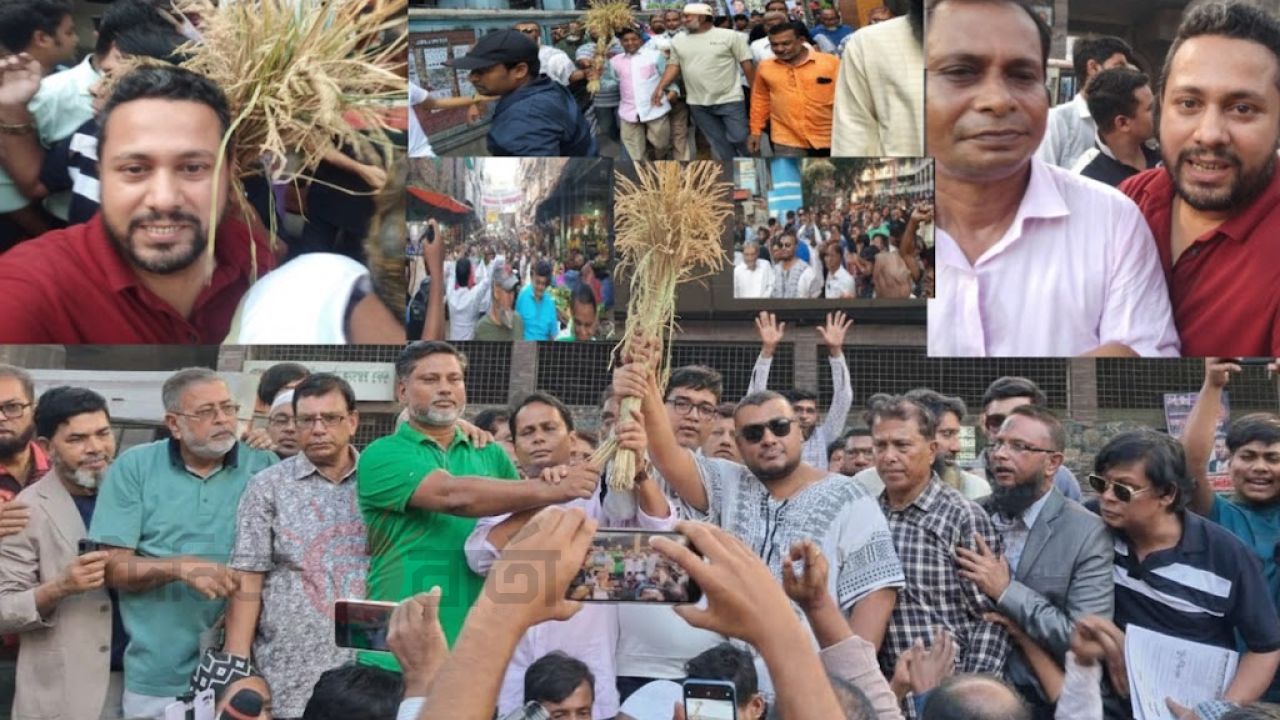 ঢাকা-৫ আসনে বিএনপি প্রার্থী নবীউল্লাহ নবীর নির্বাচনী গণসংযোগে নেতাকর্মীদের ঢল